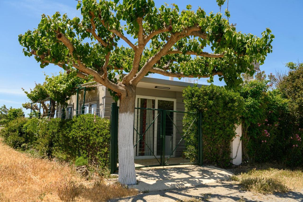 カラマキ Petrakis Afrathias Garden Houseヴィラ エクステリア 写真